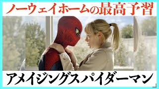 【ノーウェイホーム予習まとめ】驚愕の結末！アメイジングスパイダーマンシリーズの物語 [upl. by Rases381]