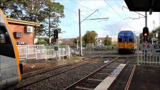 CityRail Dapto Station Interurban Intercity V34 V set approaches Platform 1 passing level crossing [upl. by Miguelita]