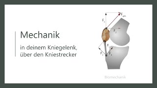 Wie funktioniert dein Knie  Biomechanik  Wirkweise des Quadrizeps  Kniestreckung [upl. by Aken]