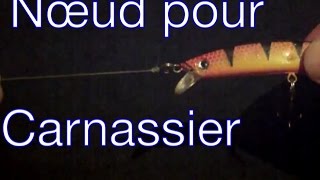 PÊCHE  Nœud pour Carnassiers [upl. by Kcor274]