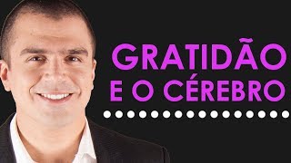 O SURPREENDENTE efeito da GRATIDÃƒO no cÃ©rebro [upl. by Odnalro]