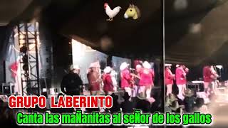 Grupo laberinto le canta las mañanitas a Nemesio Oseguera Cervantes alias el quotmenchoquot [upl. by Seftton214]