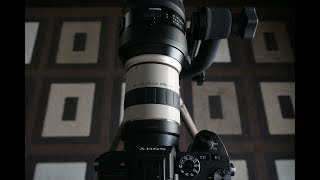 Kenko Pro 300 3x with Tamron 150  600 G2 on Sony A7r3 [upl. by Andrel]