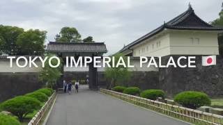 The Imperial Palace Eastern Gardens in Tokyo Japan  皇居 [upl. by Anahsat651]