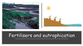 CCEA GCSE Biology ecology fertilisers and eutrophication [upl. by Eliam355]