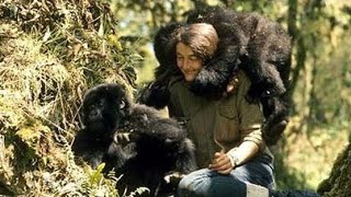 ديان فوسي Dian Fossey  عالمة ماتت من أجل حماية قردة الغوريلا [upl. by Younger]