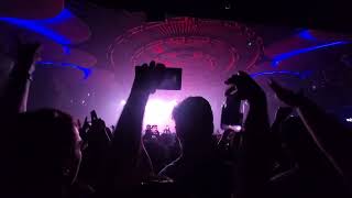 Timmy Trumpet  Toronto 2023 clips [upl. by Luna]