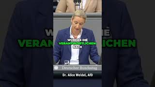 Grenzen dicht Sicherheit für Bürger in Deutschland wirtschaft [upl. by Ydnal]