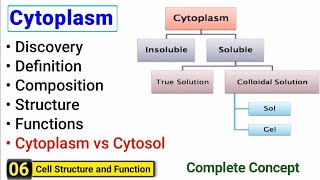 Cytoplasm structure and function  Complete Concept  J Biology [upl. by Shuler]