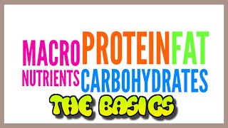 What Are Macro Nutrients Protein Fat and Carbs [upl. by Ilatfen]