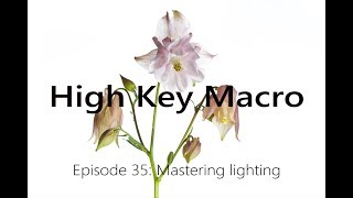 How to do High Key Macro  Mastering Light with simple equipment [upl. by Nylecsoj425]