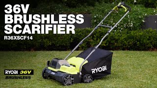 RYOBI 36V Brushless Scarifier R36XSCF14 in action [upl. by Ches]