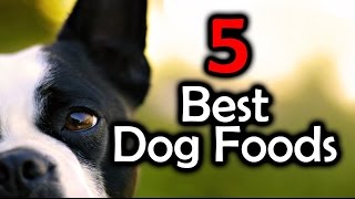 Top 5 Best Dog Foods  Keep Your Dog Healthy [upl. by Cutty]