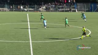 TG Sport  Telemolise  Servizio Alto Casertano vs Teramo [upl. by Jesher]