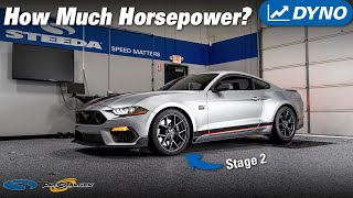 Better than Whipple 2023 Stage 2 ProCharged Mach 1 Mustang Hits the Dyno [upl. by Mutat535]