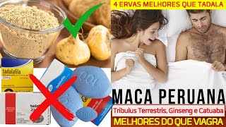 Ervas que Superam o Viagra Os 4 Estimulantes Naturais Mais Poderosos Do Mundo [upl. by Eeliram]