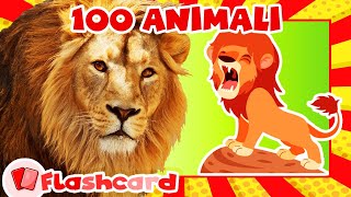 I Miei Primi 100 Animali 🎴 FLASHCARD  VIDEO di Animali Nella Vita Reale 🐘🦁🐍 Video Educativo [upl. by Malda]