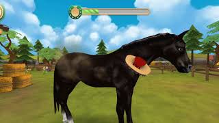 Horse Hotel Gameplay Horse Game [upl. by Matuag]