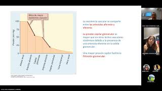 Fisiología renal excreción órgano endocrino homeostasis [upl. by Gaye]