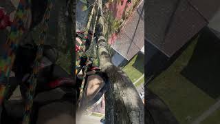 arboristing arborist climbingarborist fun arboristlife corridos musica [upl. by Enyamrahc87]