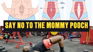 Diastasis Recti Correction Exercises  Say No to the Mommy Pooch  Postpartum Workout [upl. by Shamus462]