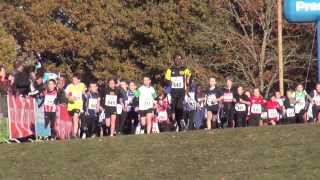 Cross National de lErdre 2013  Poussins [upl. by Bina682]