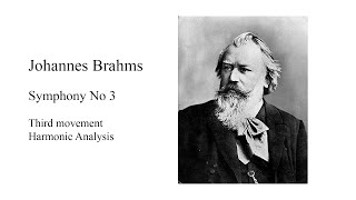 Brahms Symphony No 3 Third movement Harmonic Analysis [upl. by Bashemeth]