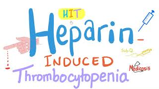 HeparinInduced Thrombocytopenia HIT  A Comprehensive Explanation [upl. by Herrick308]