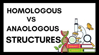 Homologous Structures vs Analogous Structures [upl. by Neu]