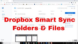 How to Smart Sync your Dropbox Files quotSelective Syncquot [upl. by Airlie888]