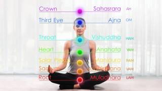 7 Chakras Seed Mantras Cyclic Chanting Meditation  Root Chakra to Crown Chakra to Root Chakra [upl. by Samled431]