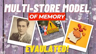 EVALUATING MultiStore Model of Memory  AQA Psychology  Alevel [upl. by Queri]