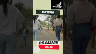 PRIER AVEC PSAUME 23 [upl. by Gertrudis]