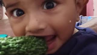 Baby tasting Bitter gourd  Momordica charantia  Baby eating bitter gourd  Bitter melon  Pavakaai [upl. by Jael]