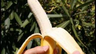 Gwen Stefani  Bananas Official Music Video [upl. by Haslett]