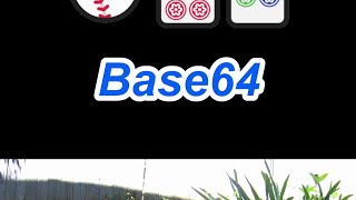 Base64 Explained in Under a Minute  Cybersecurity Basics cute birds hacker web webdevelopment [upl. by Niltiac301]