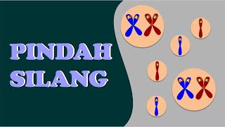 Nilai Pindah Silang Genetika dan Peta Kromosom I BAB POLA HEREDITAS [upl. by Ecnar]