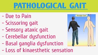 Pathological Gait [upl. by Asena]