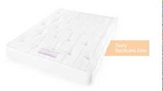 Sealy Backcare Elite Mattress [upl. by Aitenev121]