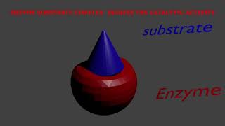 enzyme inhibition in blender [upl. by Salangi]