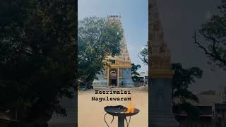 tamil sivan pakthan keerimalai naguleswaram vibe [upl. by Anemolihp324]