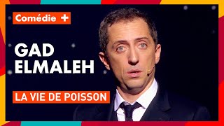 Pour Gad Elmaleh  Les poissons sont bêtes  20 ans de scène  Comédie [upl. by Dougie]