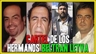 Cartel de los Hermanos BELTRAN LEYVA Su historia en 1 video [upl. by Anomahs880]