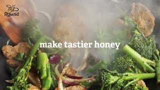 ROWSE  Maybe happier bees make tastier honey  Stir Fry [upl. by Hilly]