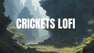 Crickets amp Coffee Breaks Lofi Relax 🍃 Chill Lofi Beats  Lofi for StudyWorkRelax 🍀 [upl. by Stock]