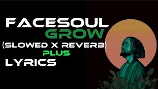 Facesoul  Grow Slowed x Reverb amp Lyrics  Reverb Temple Version [upl. by Ahsikat]