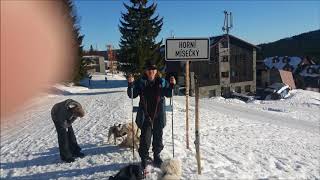 ASMR Langlauf Ski fahren Cross Country skiing Geräusch Sound Klang mp3 kostenlos [upl. by Adall502]