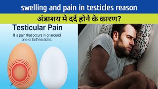 swelling and pain in testicles reason अंडकोष मे दर्द और सूजन हैं अब क्या करें testicularpain [upl. by Kenelm]