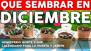 Calendario de Siembra 2022 Que sembrar en DICIEMBRE en el Huerto de Otoño y de Primavera [upl. by Ecenahs]