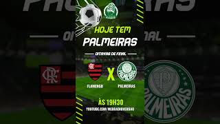 🔴 AO VIVO FLAMENGO X PALMEIRAS  OITAVAS DE FINAL DA COPA DO BRASIL 2024  WEB RÁDIO VERDÃO [upl. by Falcone437]